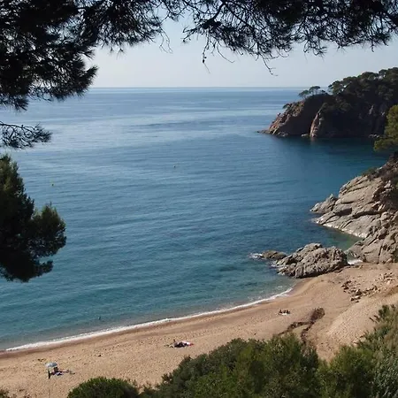 Kerstin Bruns- Casa El Moli
